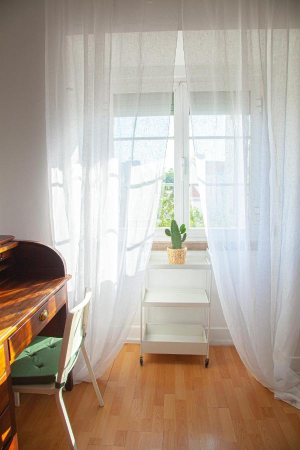 Apartment Ola ! Central Lightning Quiet View Garden 10mn Airport *