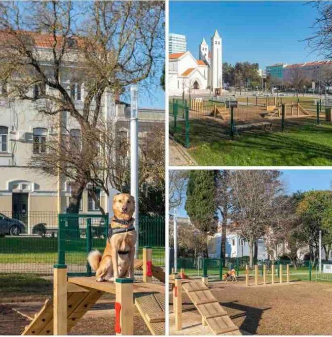 Ola ! Central Lightning Quiet View Garden 10mn Airport Appartement